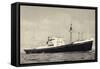 Dampfer M.V. Dongedyk Holland America Line-null-Framed Stretched Canvas