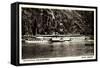 Dampfer Rheingold, FlUSS Rhein, Binnenschifffahrt-null-Framed Stretched Canvas