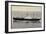 Dampfer S.S. Almdyk, Holland America Lijn-null-Framed Giclee Print