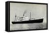 Dampfer S.S. Diemerdyk, Holland America Line-null-Framed Stretched Canvas