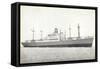 Dampfer S.S. Dinteldyk, Holland America Line-null-Framed Stretched Canvas