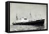 Dampfer S.S. Duivendyk, Holland America Line-null-Framed Stretched Canvas