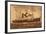 Dampfer S.S. Korea, Pacific Mail Steamship-null-Framed Giclee Print