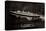 Dampfer S.S. Nieuw Amsterdam, Holland America Line-null-Stretched Canvas