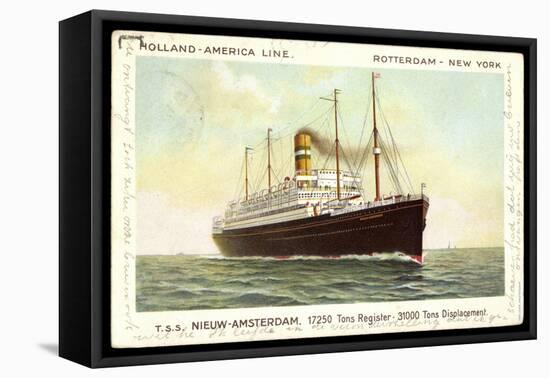 Dampfer T.S.S. Nieuw Amsterdam, Holland America Line-null-Framed Stretched Canvas