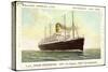 Dampfer T.S.S. Nieuw Amsterdam, Holland America Line-null-Stretched Canvas