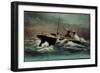 Dampfschiff La Provence, Sgtm, Transports Maritimes-null-Framed Giclee Print
