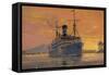 Dampfschiff Wahehe, Woermann Linie, Westafrika-null-Framed Stretched Canvas