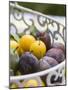 Damsons and Mirabelles in Wire Basket-Sara Deluca-Mounted Photographic Print