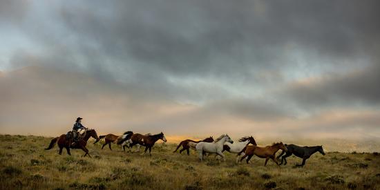 Premium Photographic Print, , large