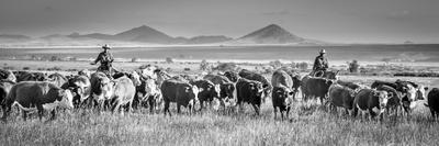 Red Top Ranch-Dan Ballard-Photographic Print