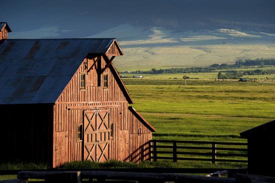 Photographic Print, , large