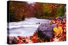 Stretched Canvas