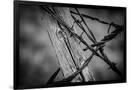 Gramercy Black