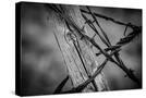 Stretched Canvas