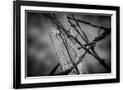 Gramercy Black