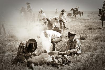 Photographic Print, , large