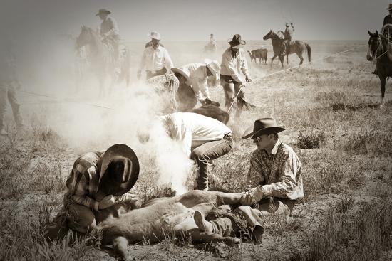 Photographic Print, , large