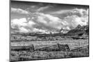 Wood Mount
