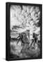 Essential Black