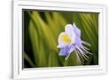 Gramercy White