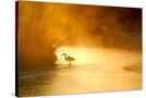 Stretched Canvas