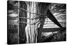 Stretched Canvas