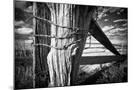 Wood Mount
