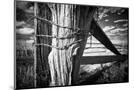 Wood Mount