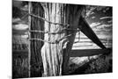 Wood Mount