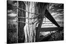 Stretched Canvas