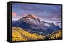 Canvas Black