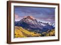 Brown Frame