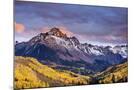 Wood Mount