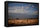 Canvas Black