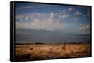 Canvas Black