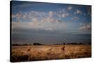 Stretched Canvas