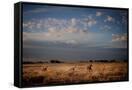 Canvas Black