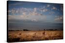 Stretched Canvas
