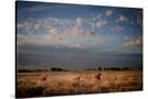 Stretched Canvas