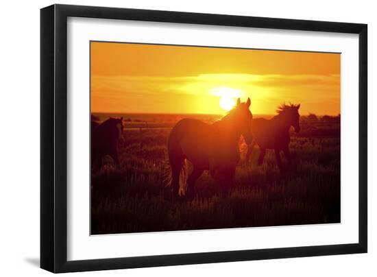 Premium Photographic Print, , large