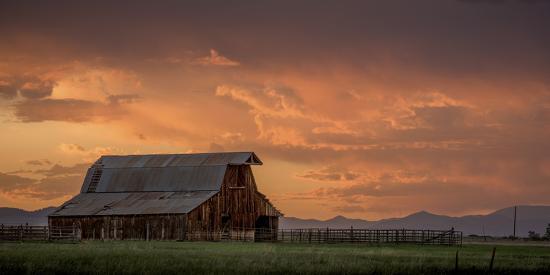 Photographic Print, , large
