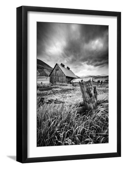 Premium Photographic Print, , large