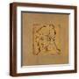 Brown Frame