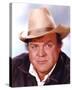 Dan Blocker - Bonanza-null-Stretched Canvas