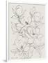 Gramercy White