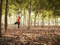 Lisa Eaton Practices Tree Pose in a Rubber Tree Plantation -Chiang Dao, Thaialand-Dan Holz-Photographic Print