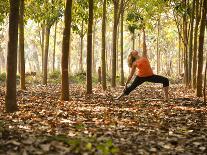 Lisa Eaton Practices Tree Pose in a Rubber Tree Plantation -Chiang Dao, Thaialand-Dan Holz-Photographic Print