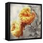 Dan Le Jardin-Tina Lavoie-Framed Stretched Canvas