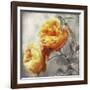 Dan Le Jardin-Tina Lavoie-Framed Giclee Print